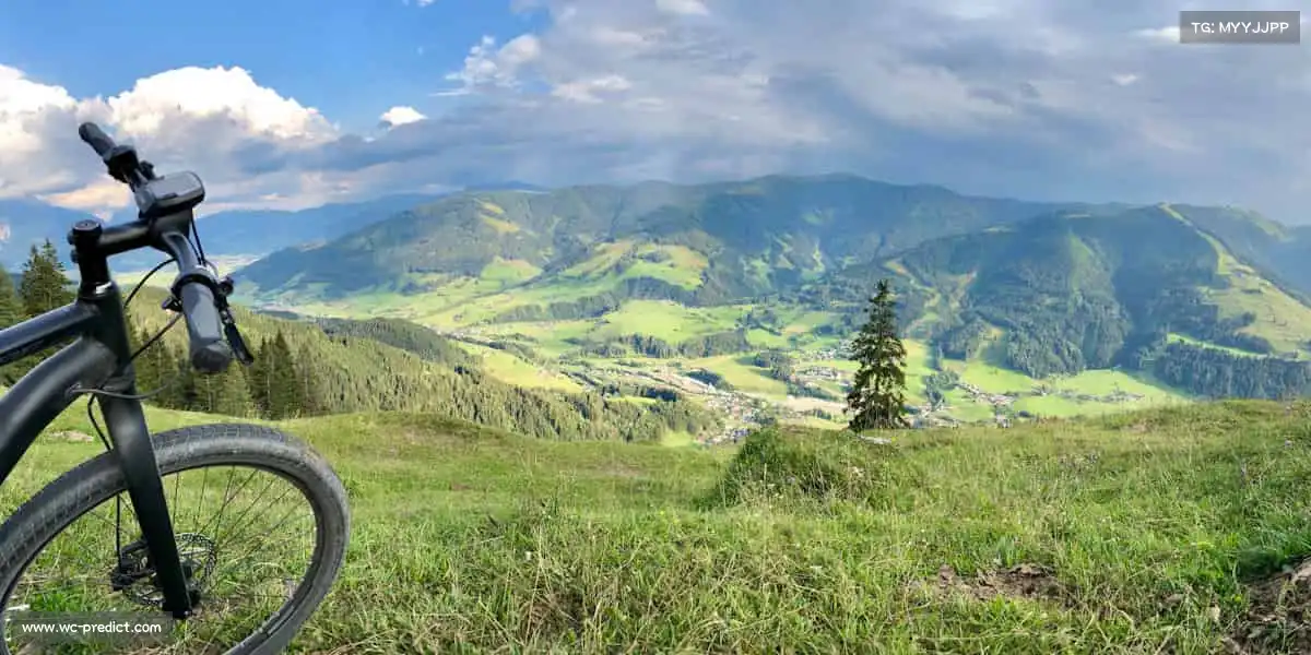 为什么选择我们